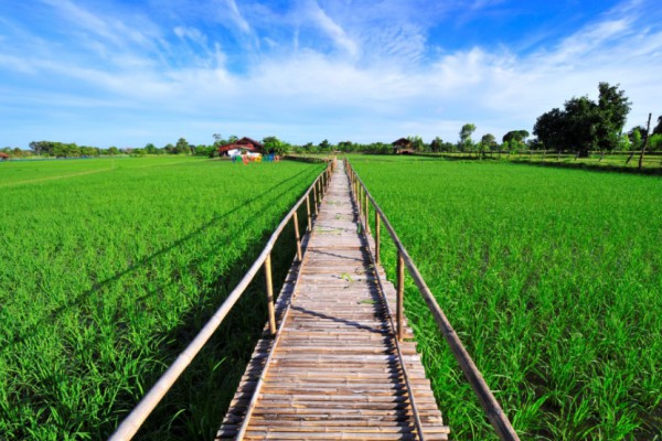 77 จังหวัดทั่วไทย